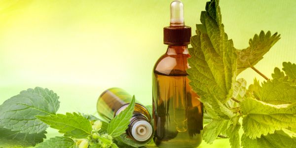 Flacons de phytothérapie entourés de plantes médicinales, symbolisant les bienfaits naturels de l’échinacée, du ginseng et de la rhodiola pour renforcer l’immunité à la ménopause.