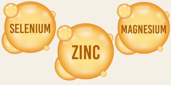Illustration des minéraux zinc, sélénium et magnésium, essentiels pour renforcer le système immunitaire, réduire le stress et soutenir la vitalité des femmes à la ménopause naturellement.