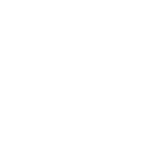 Blogueur-Pro.png