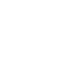 logo-belle-et-stylee-1.png